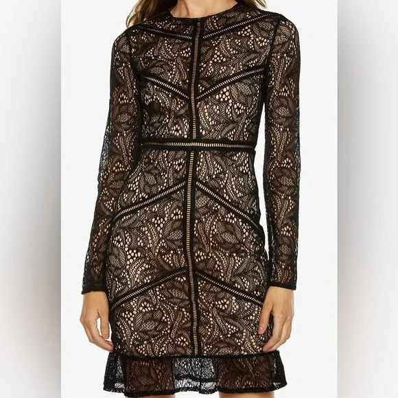 zimmermann rosa laced midi dress Alchemy Structured Midi Dress in Pink Paisley